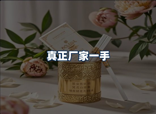 专业团队办公环境